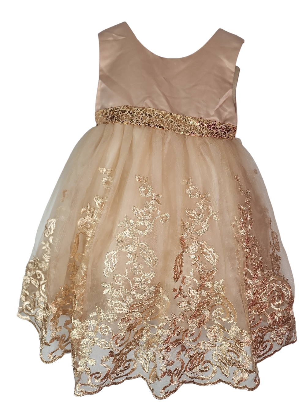 Girls' Champagne Gold Floral Tulle Party Special Occasion Dress.